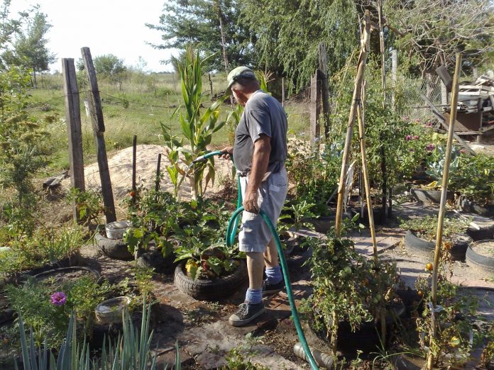 el jardinero